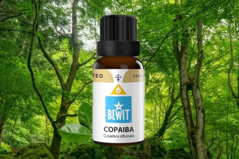 Copaiba a její vyjímečnost